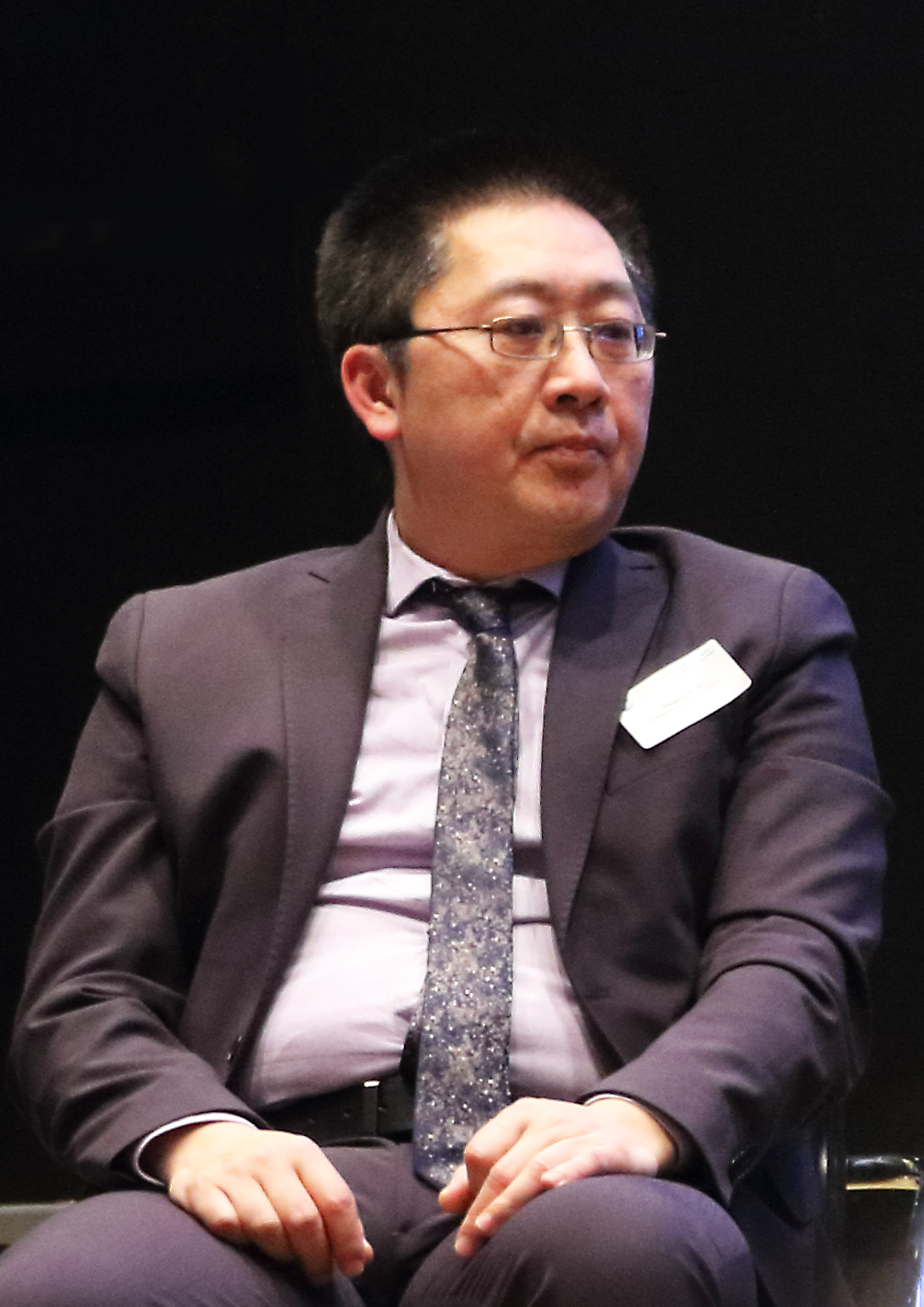 Hoang BuiSecrétaire du Conseil national de l’hydrogène et coordinateur des stratégies nationales «Hydrogène décarboné» et «décarbonation de l’industrie» du Secrétariat général pour l’investissement ( SGPI )